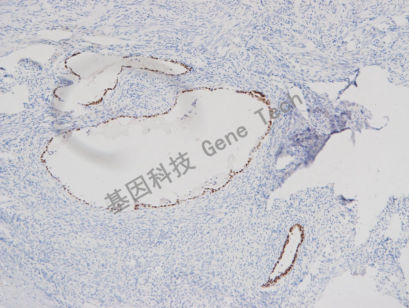 1682665735133484.jpg 20171219-16 N3_副本.jpg